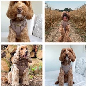 Cocopup Plaid Dog Harness - XXS